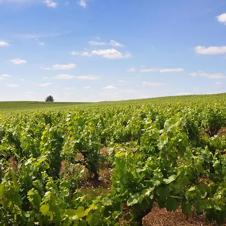 Vakantiehuis Calme Avec Et Terrasse, Proche Nantes Et Clisson - Fr-1-306-1292 *